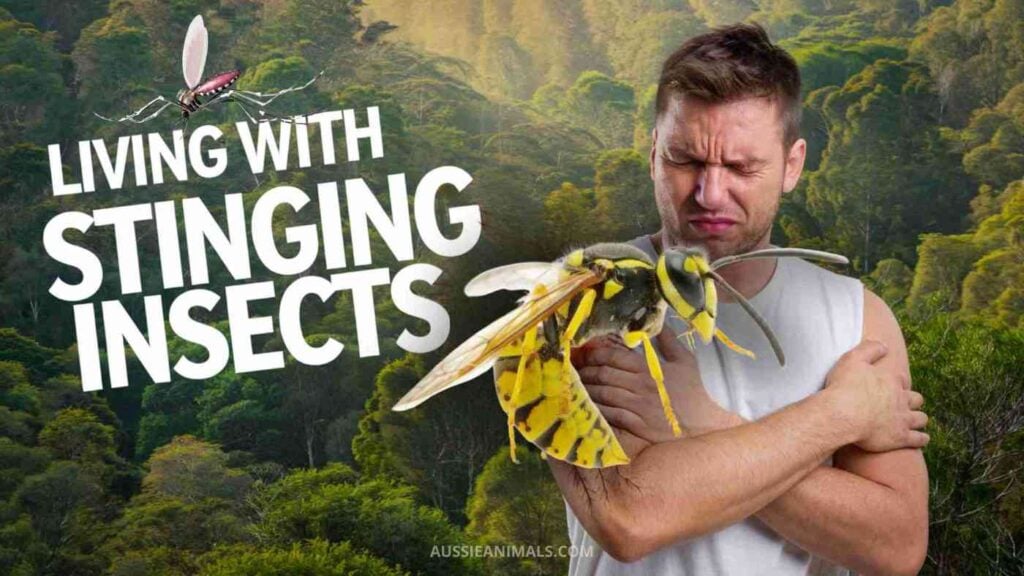 Living Alongside Stinging Insects
