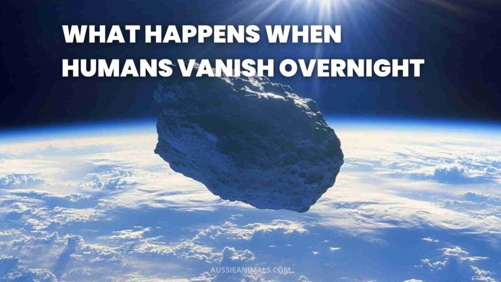 What Happens When Humans Vanish Overnight